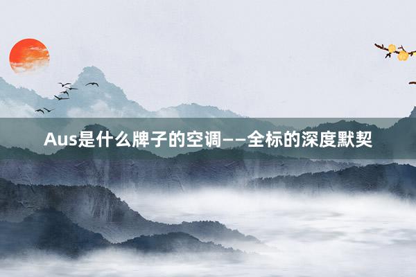Aus是什么牌子的空调——全标的深度默契